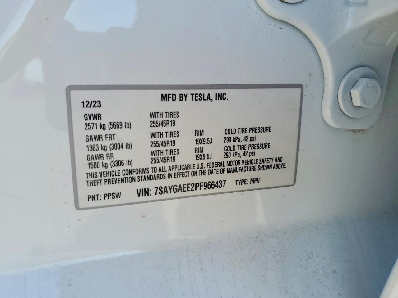 Tesla Model Y