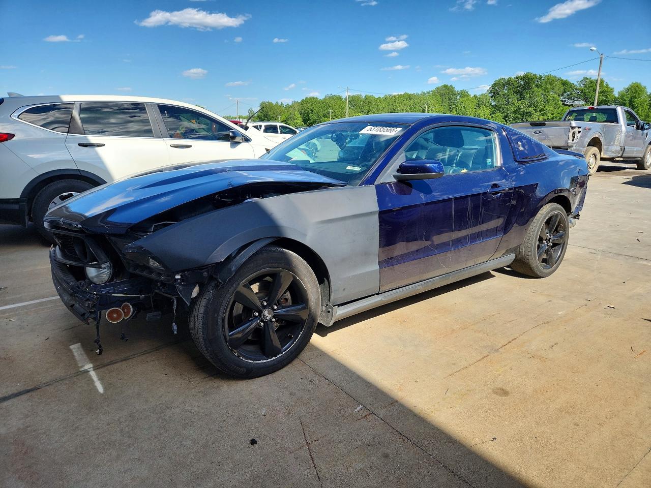 Salvage Ford Mustang Image