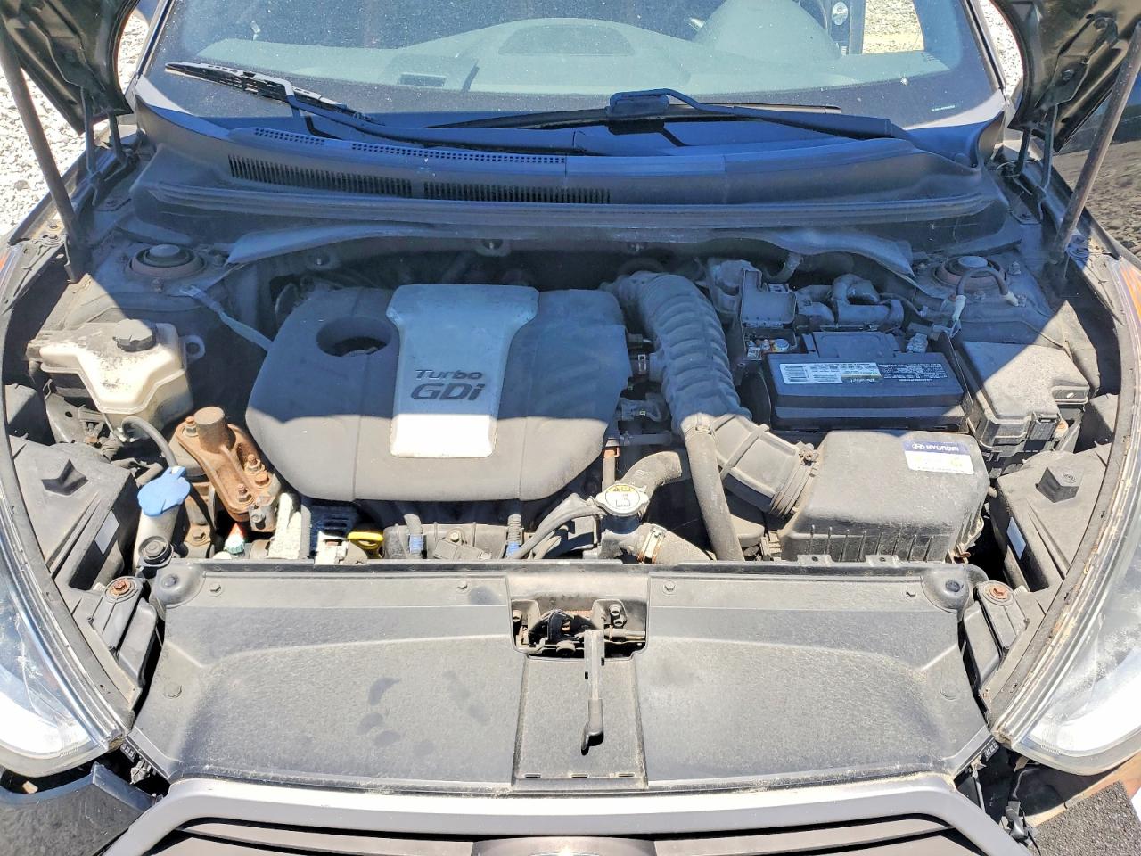 Hyundai VELOSTER Turbo