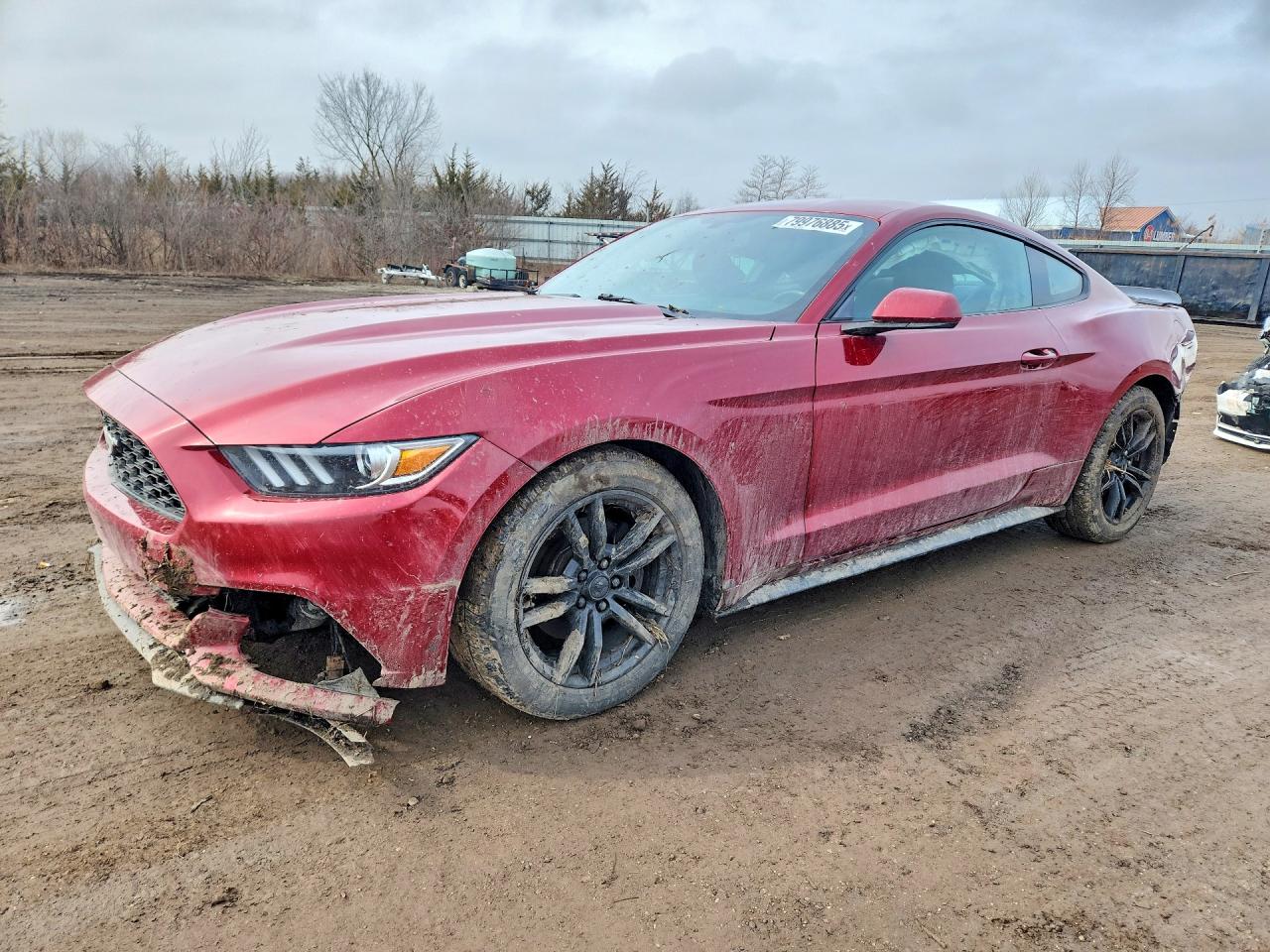 Salvage Ford Mustang Image