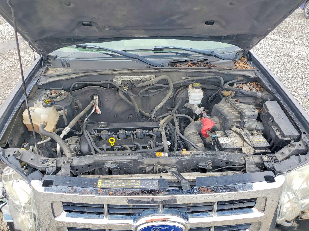 Ford Escape Xls