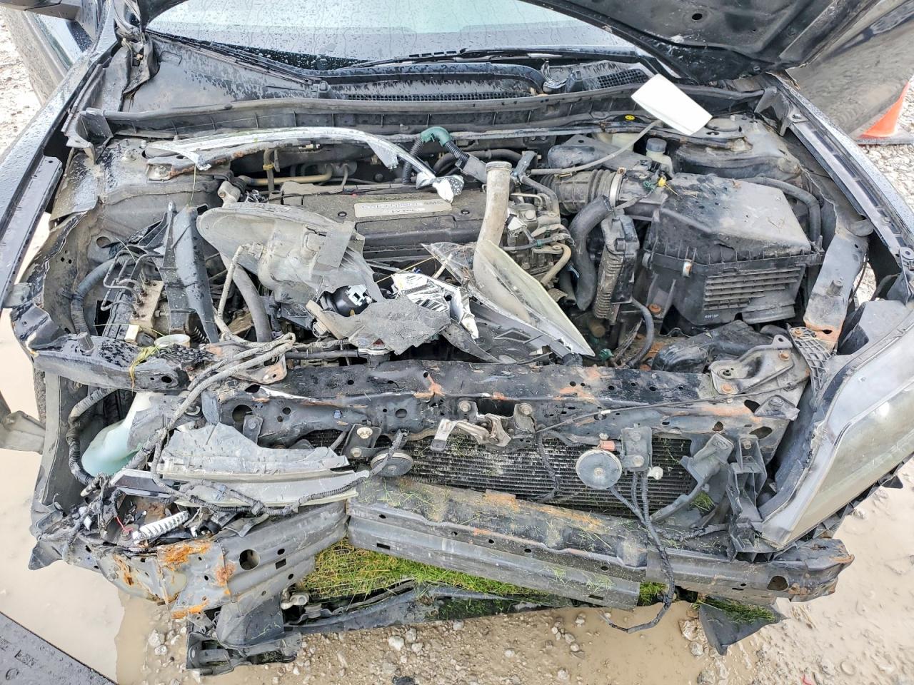 Honda Accord Lx-s