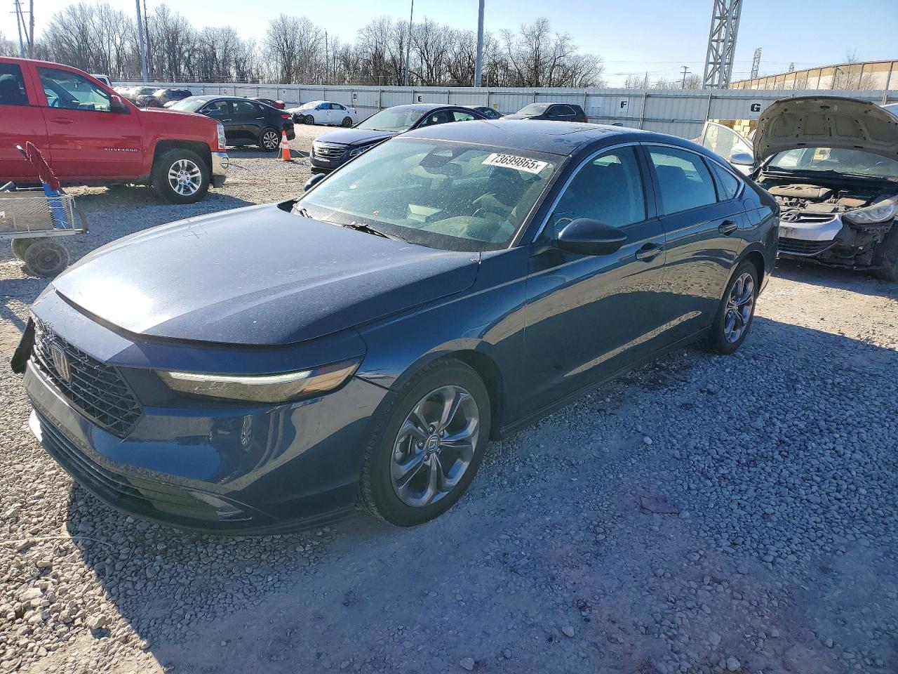 Salvage Honda Accord Image