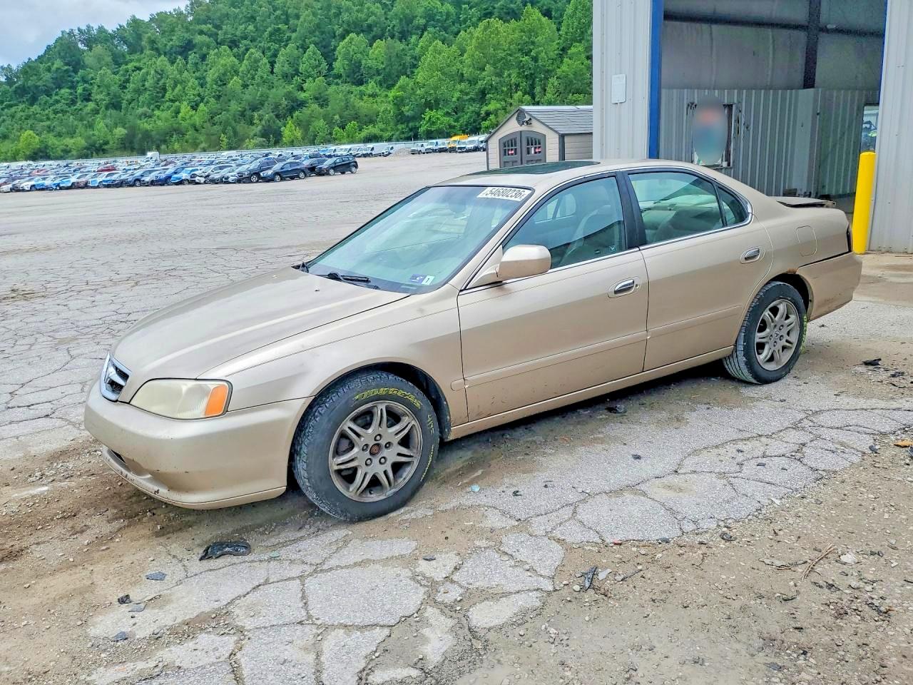 Salvage Acura TL Image