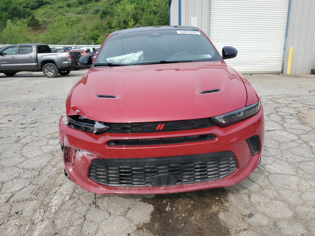 Dodge Hornet Gt Gt