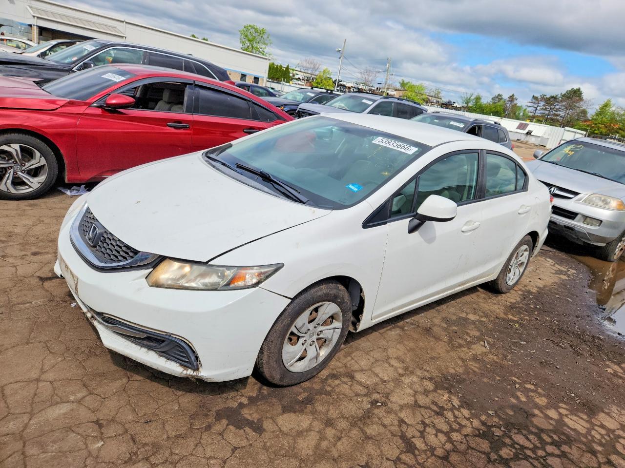 Salvage Honda Civic Image
