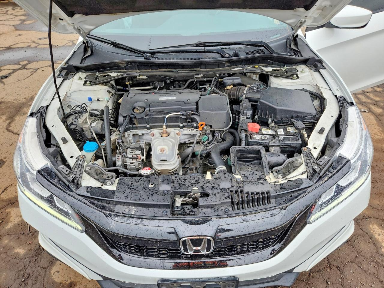 Honda Accord Sport