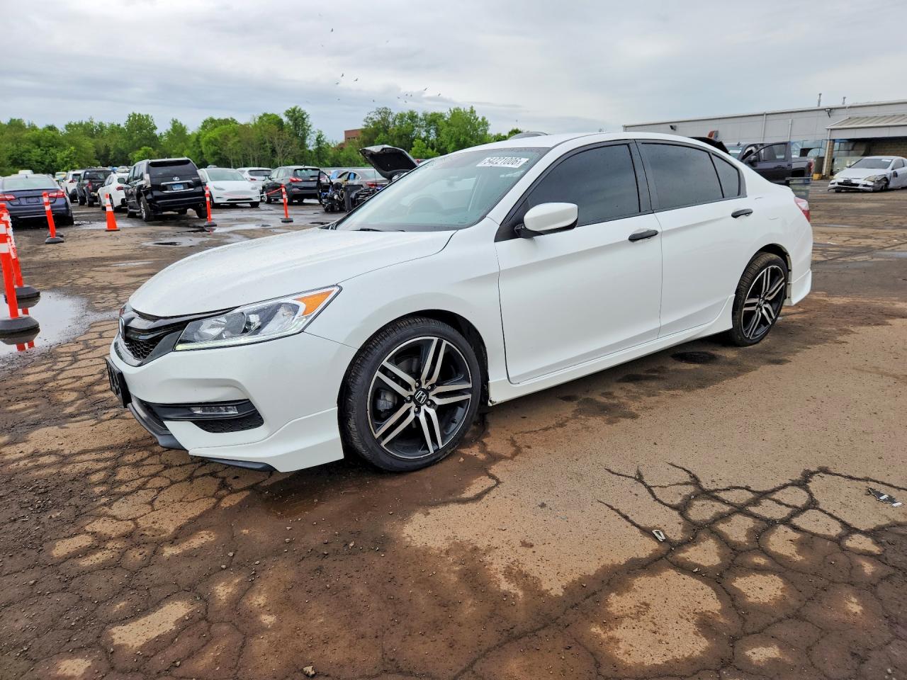 Salvage Honda Accord Image