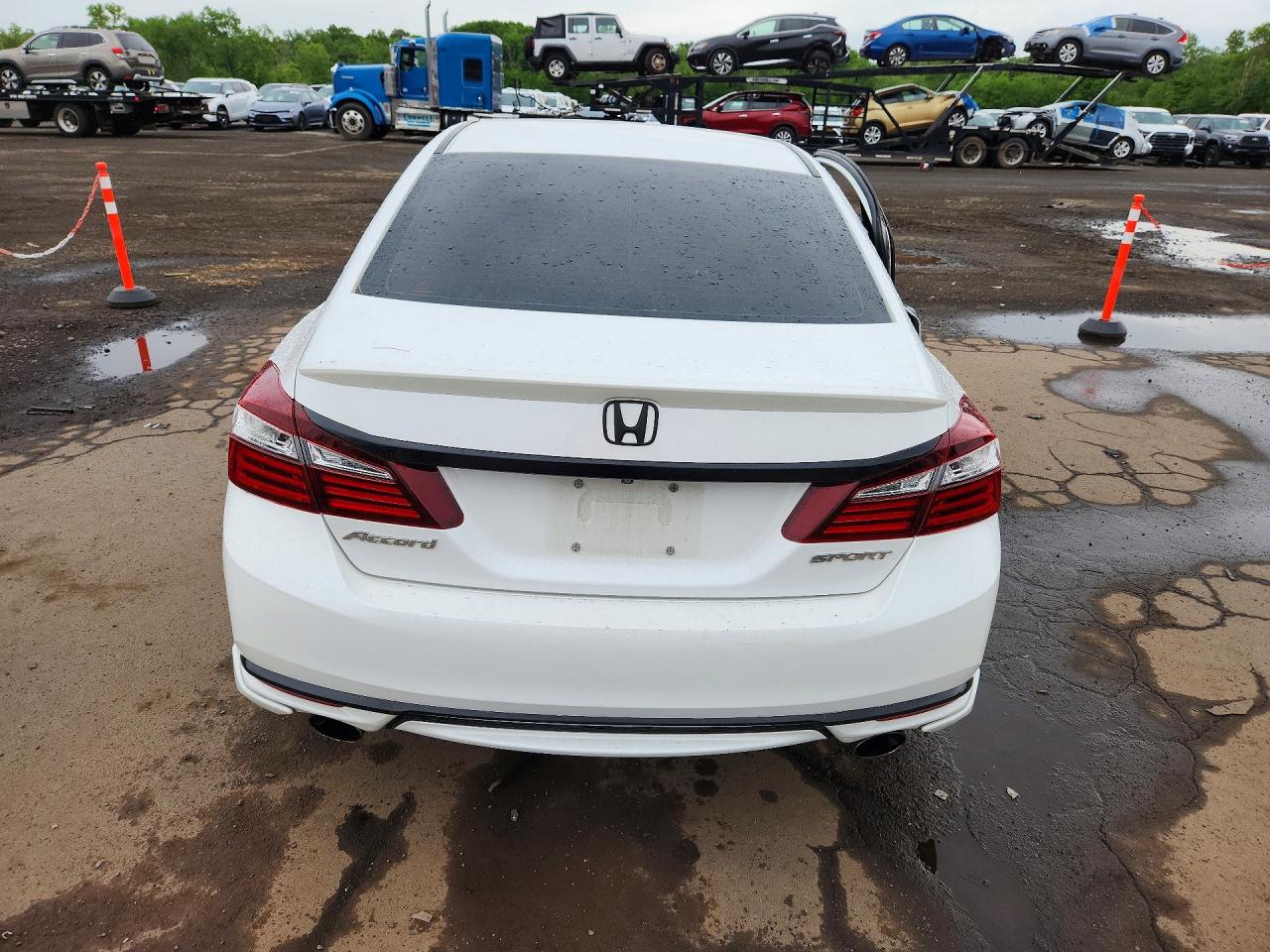 Honda Accord Sport