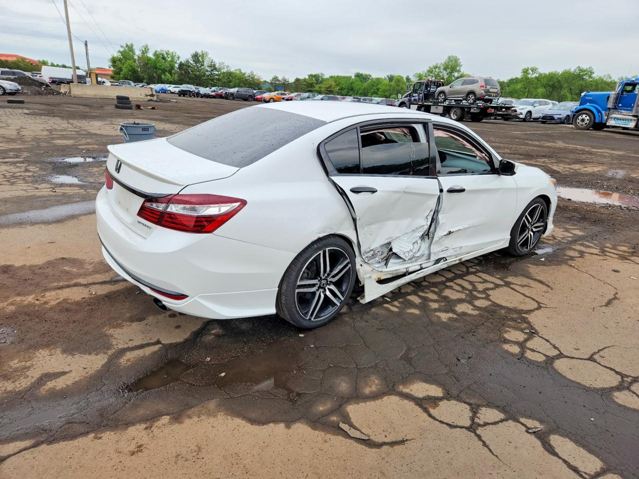 Honda Accord Sport