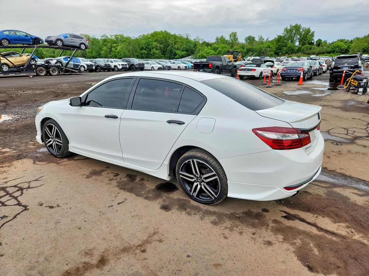 Honda Accord Sport