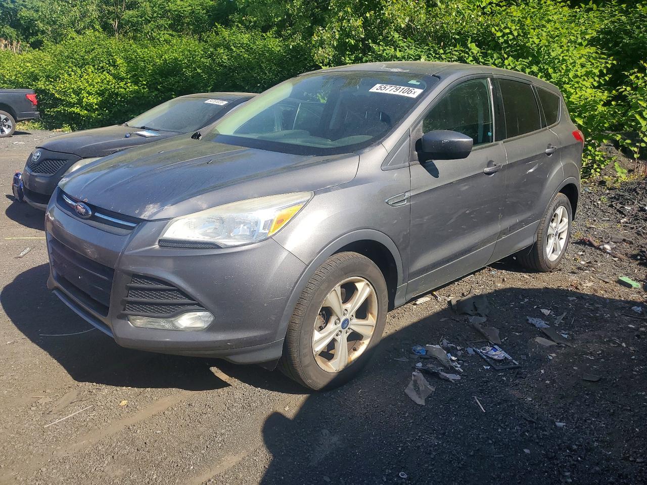Salvage Ford Escape Image
