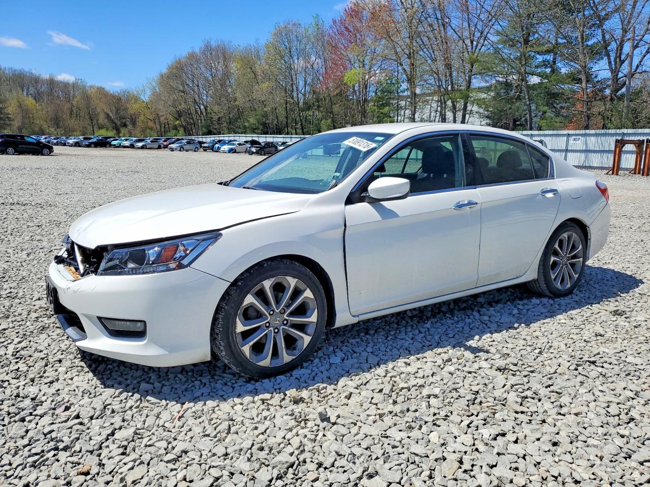 Salvage Honda Accord Image