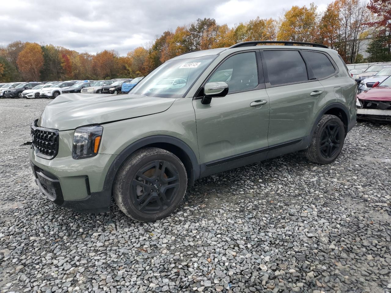 Salvage Kia Telluride Image