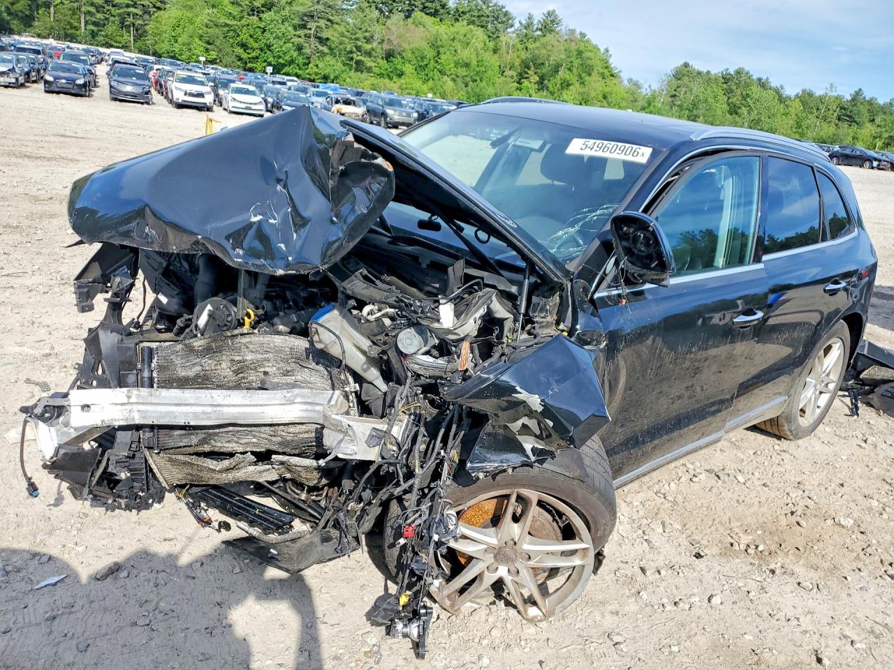 Salvage Audi Q5 Image