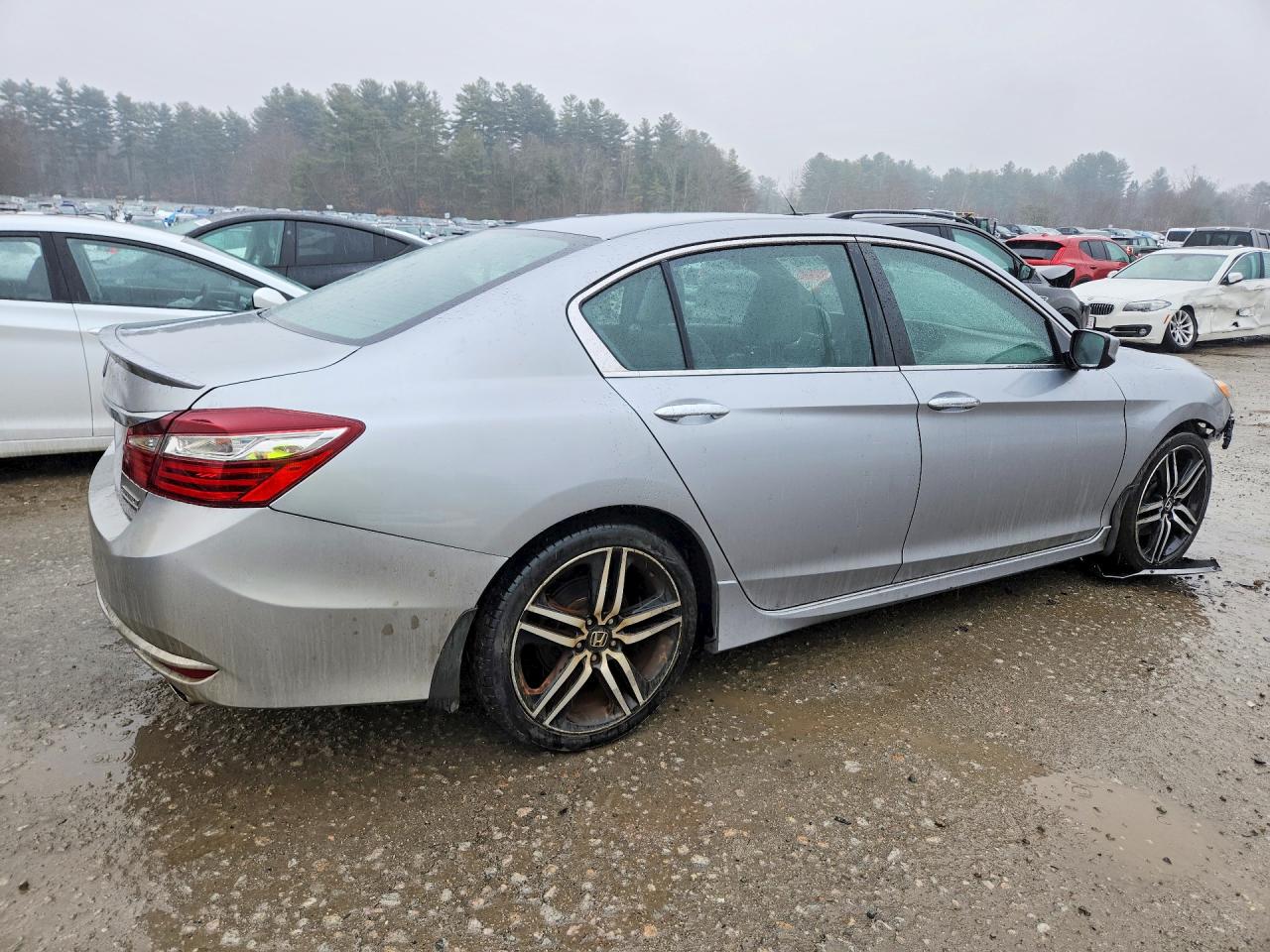Honda Accord Sport Special Edition