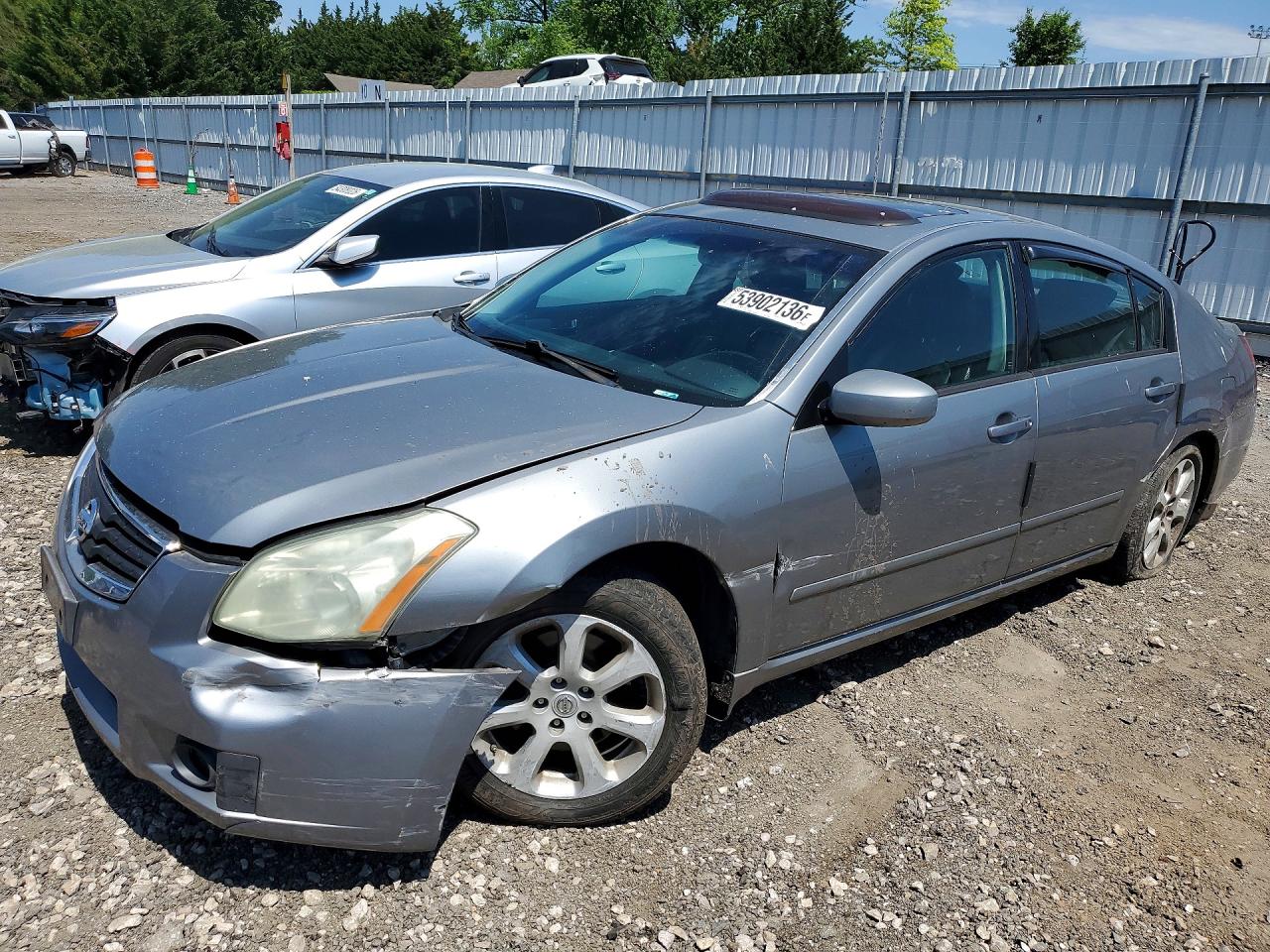Salvage Nissan Maxima Image