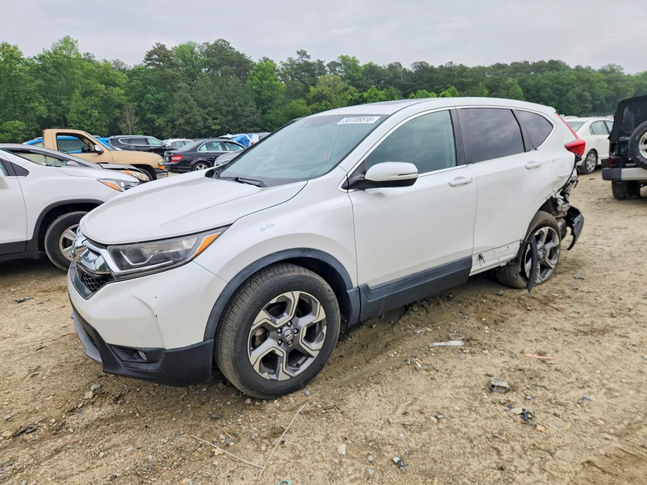 Salvage Honda Crv Image