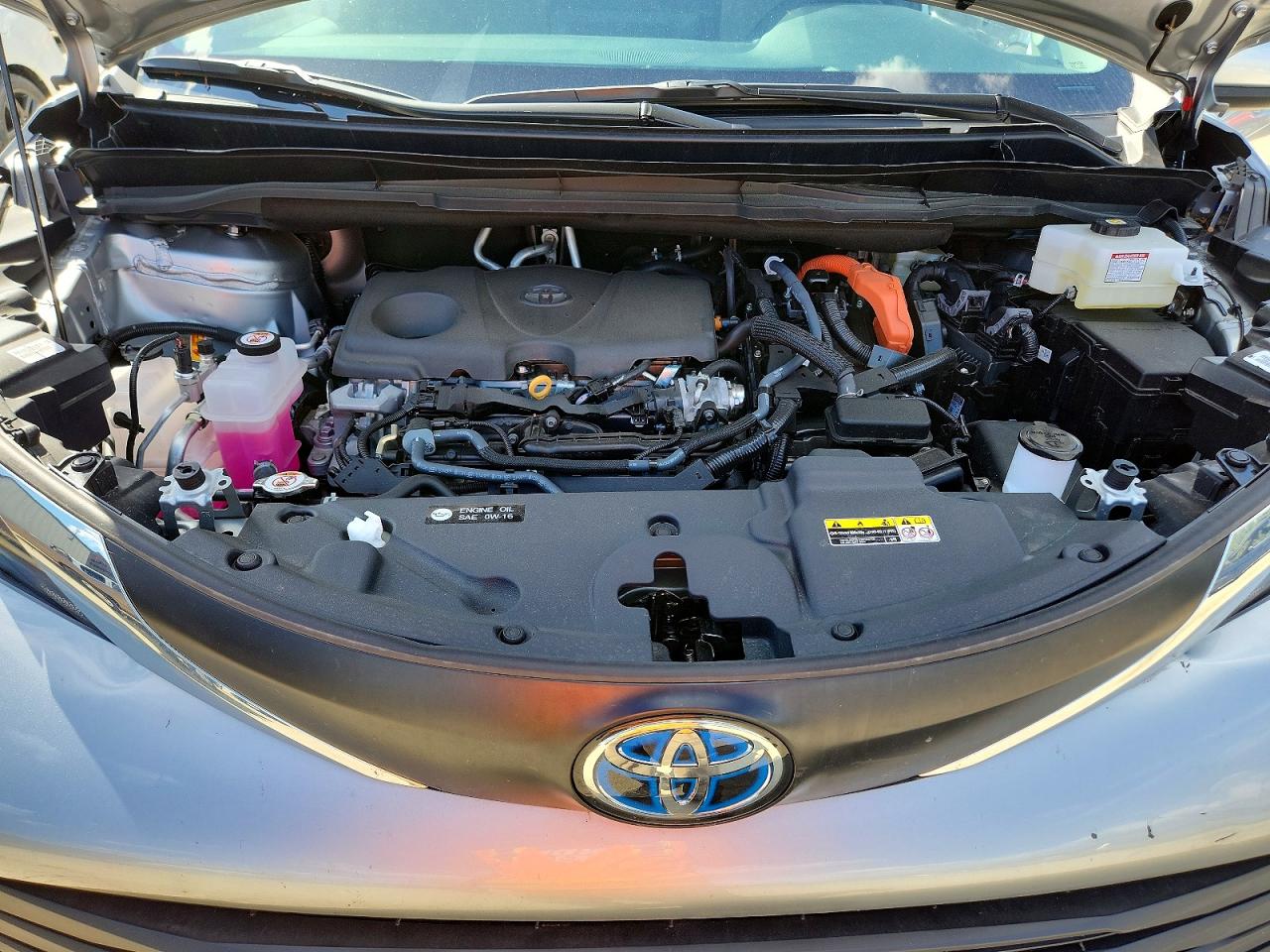 Toyota Sienna Xle 7-passenger