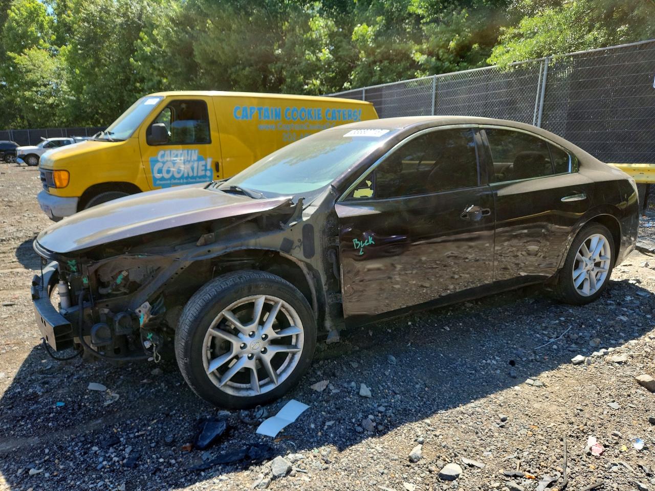 Salvage Nissan Maxima Image