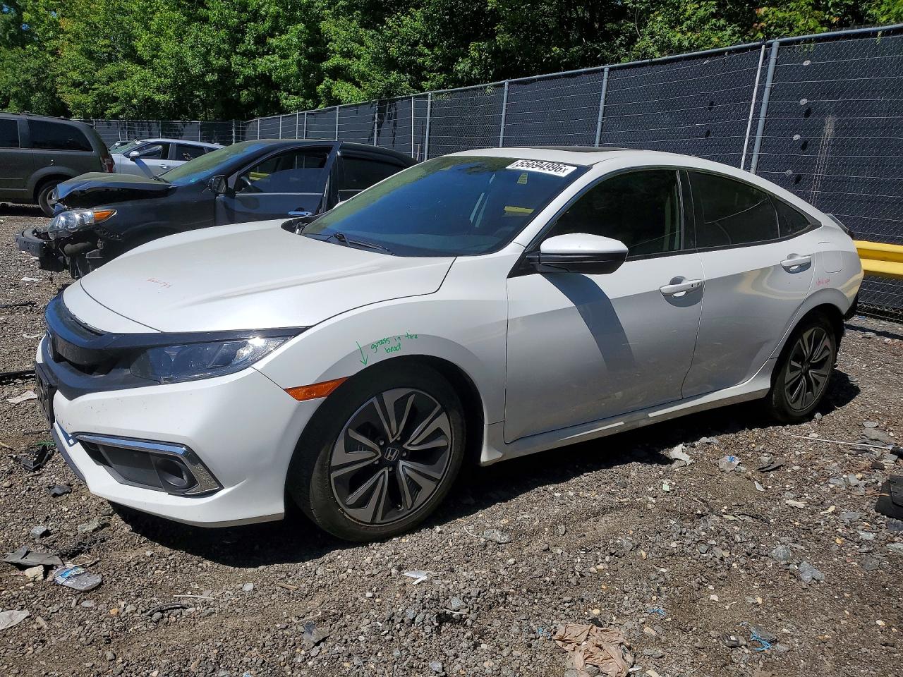 Salvage Honda Civic Image