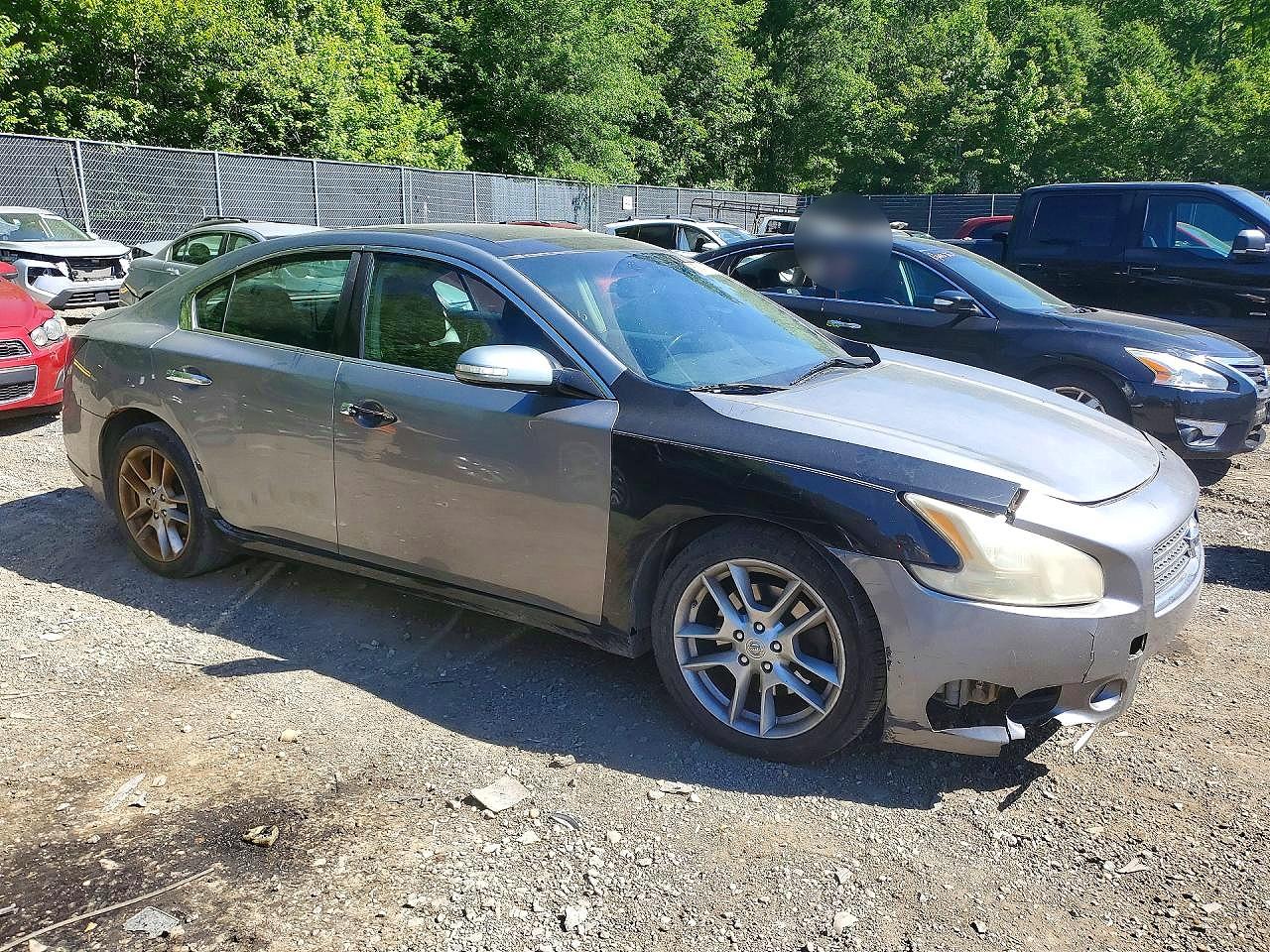 Nissan Maxima 3.5 S