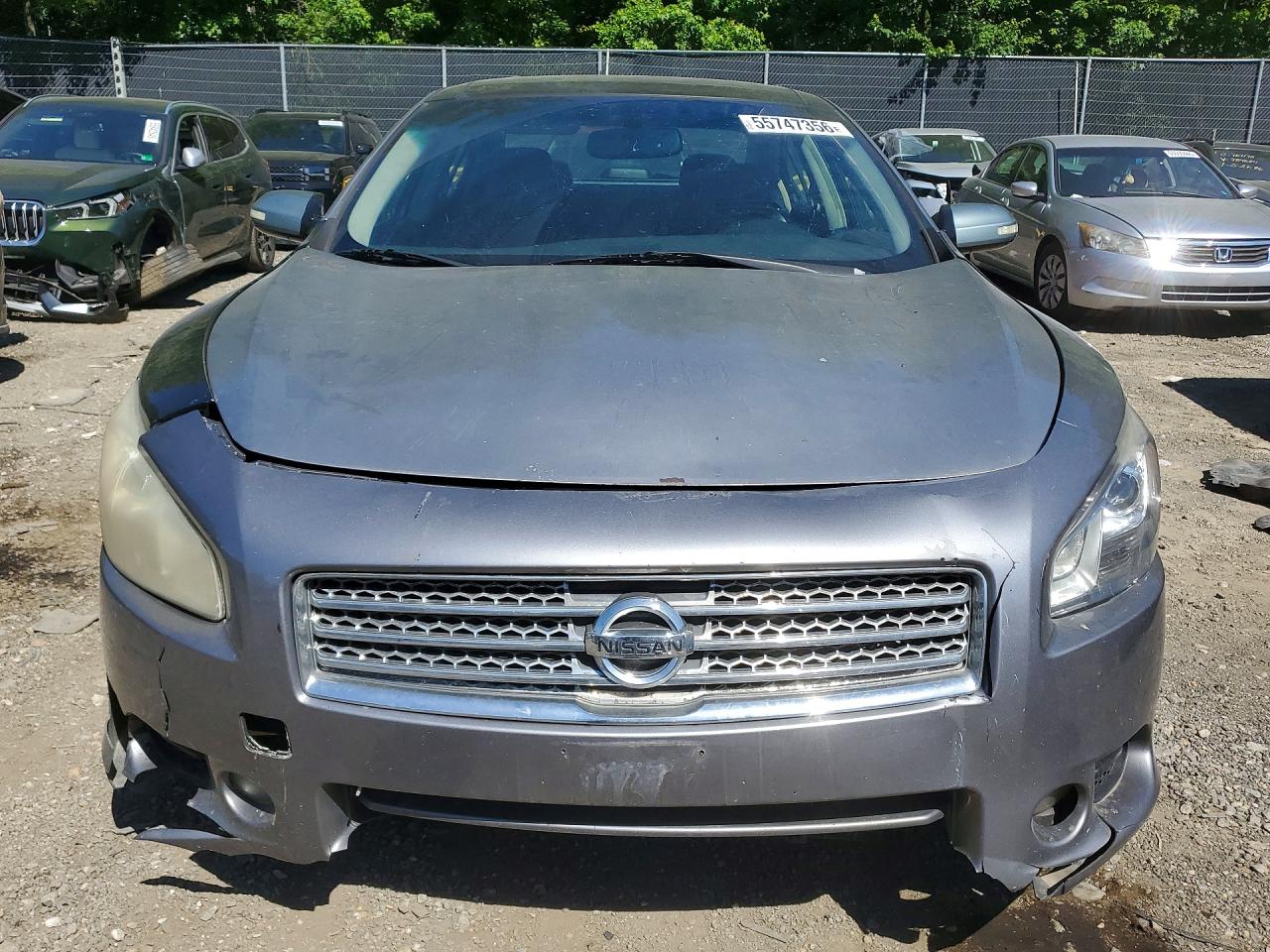 Nissan Maxima 3.5 S