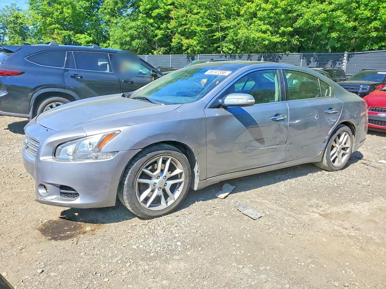 Salvage Nissan Maxima Image