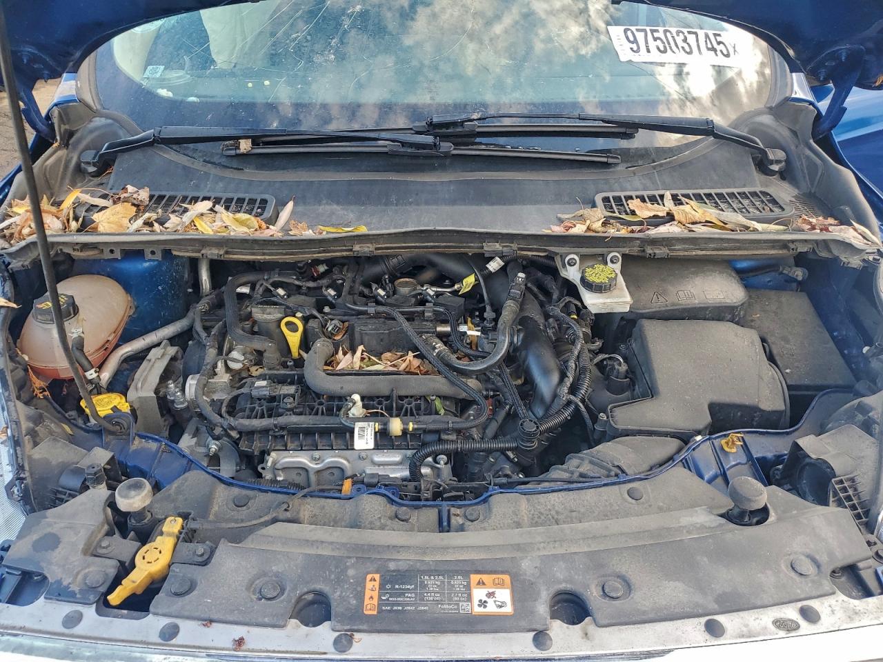 Ford Escape Se