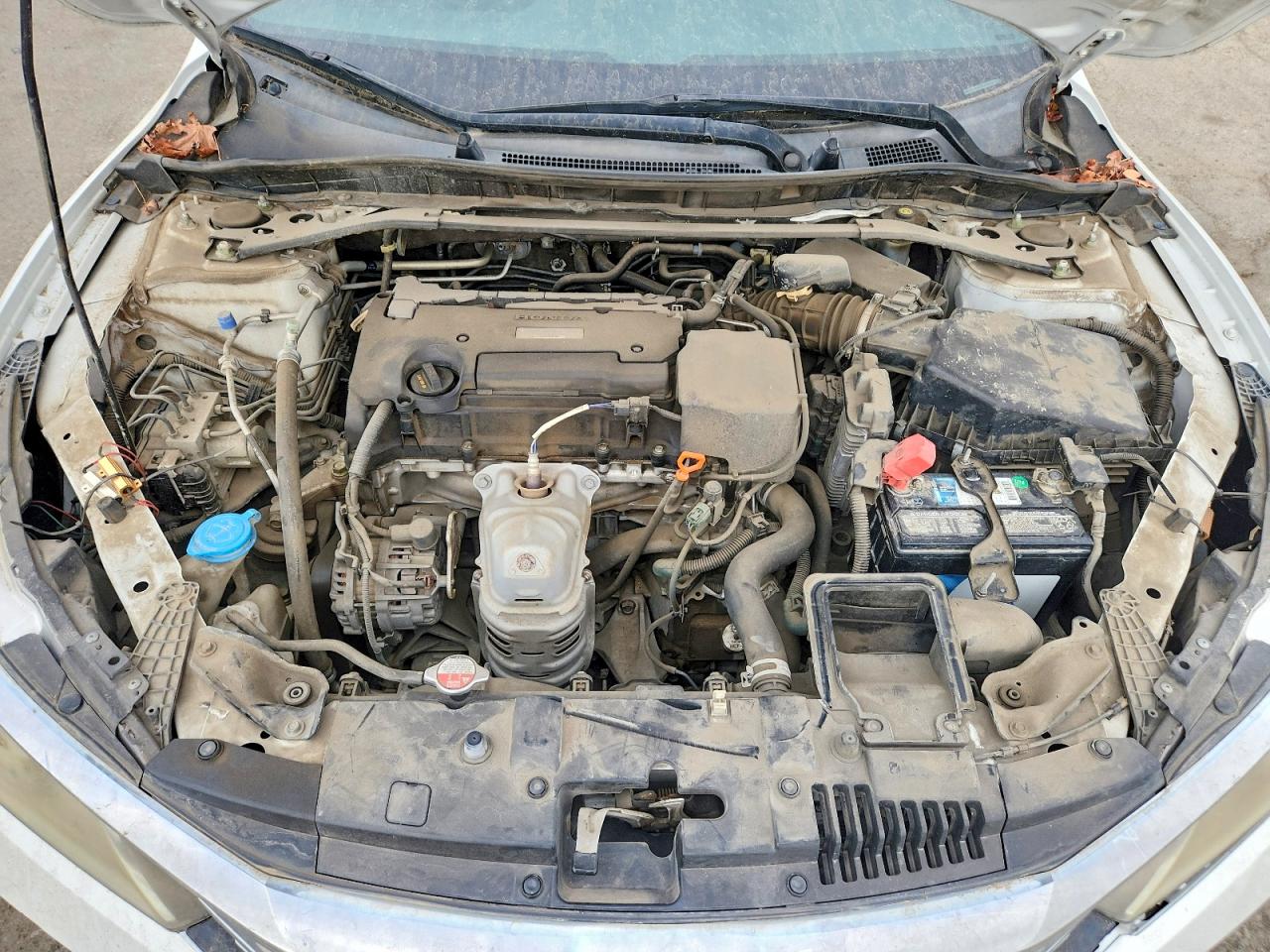 Honda Accord Sport