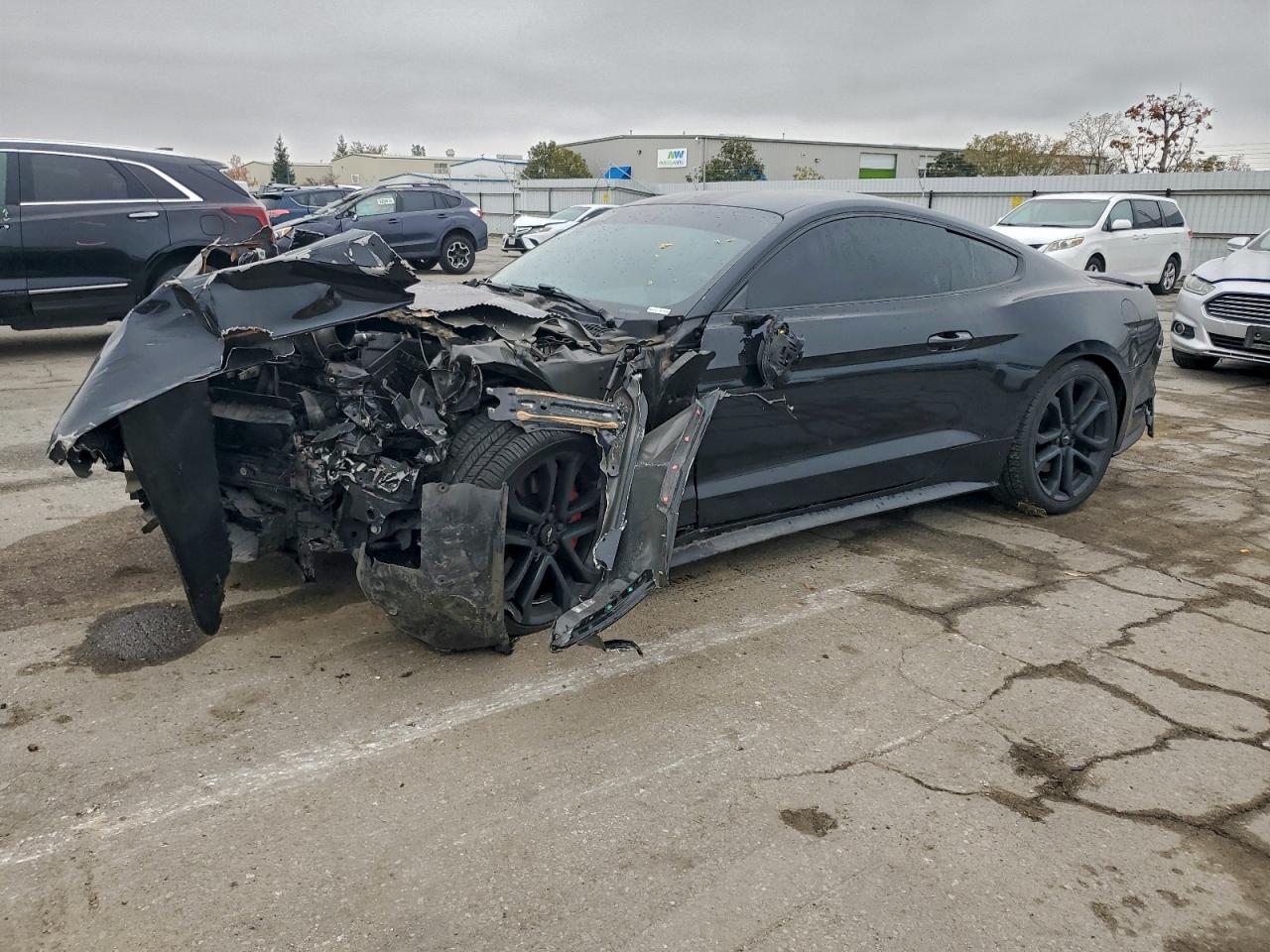 Salvage Ford Mustang Image