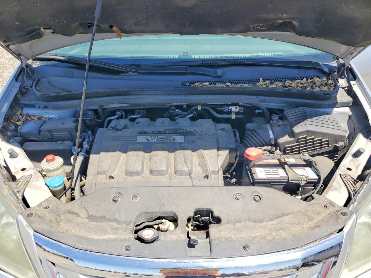 Honda Odyssey Exl