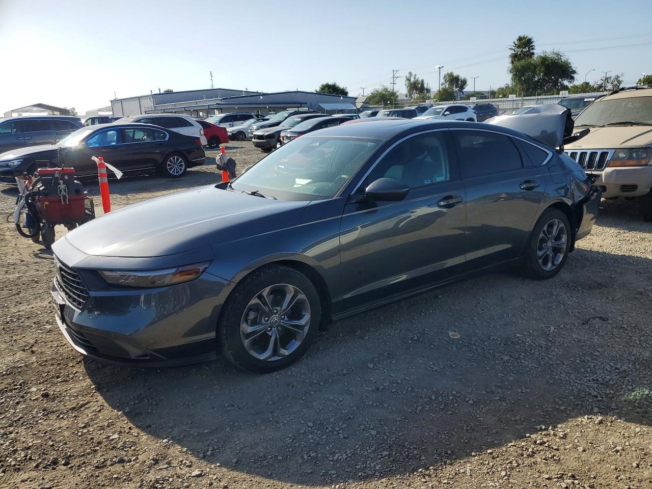 Salvage Honda Accord Image