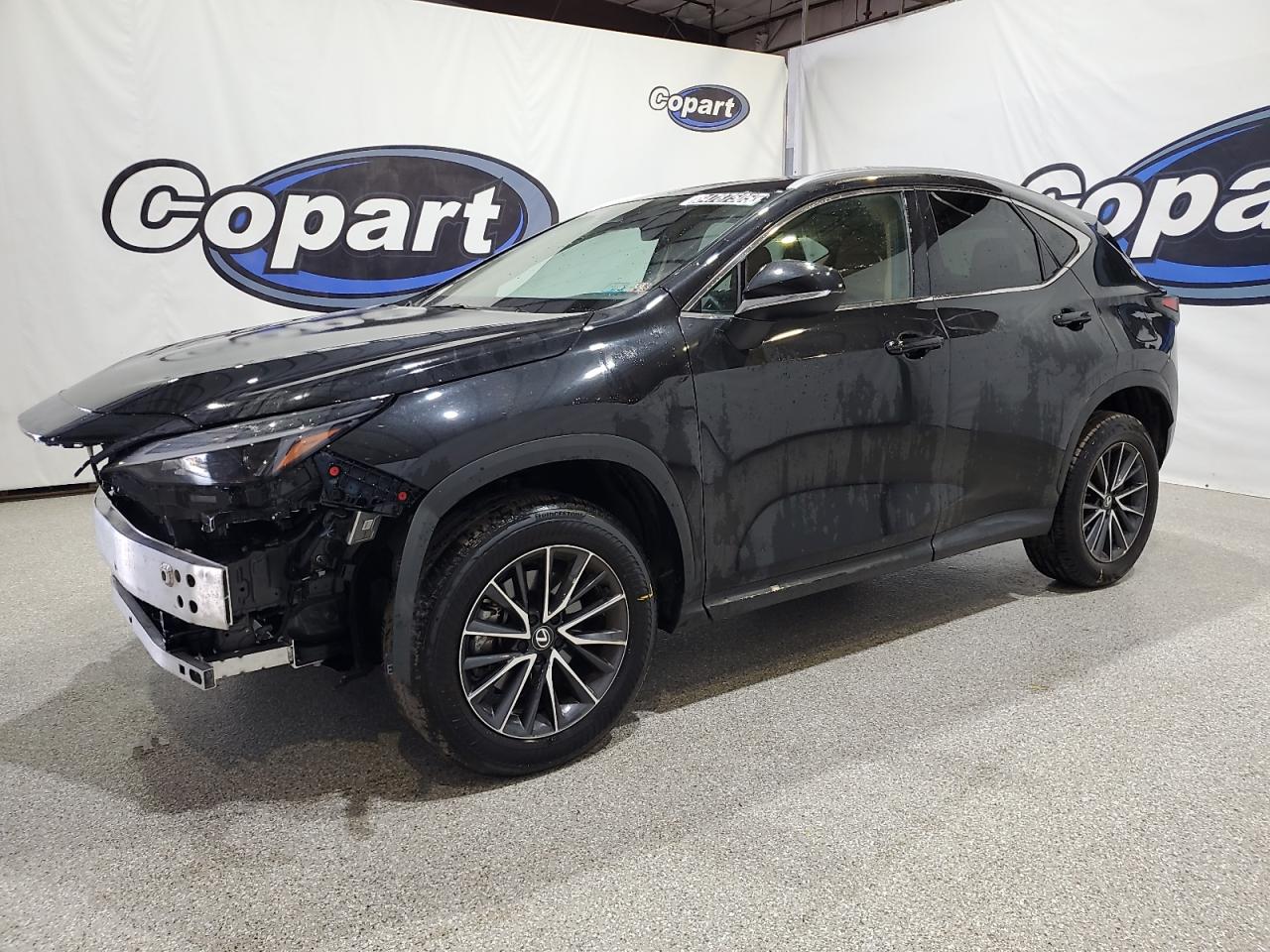 Salvage Lexus NX Image