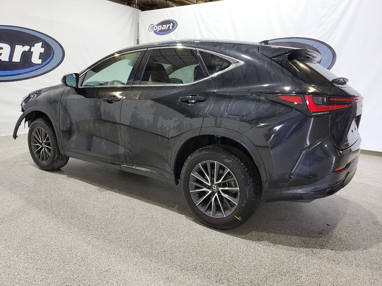 Lexus NX Base