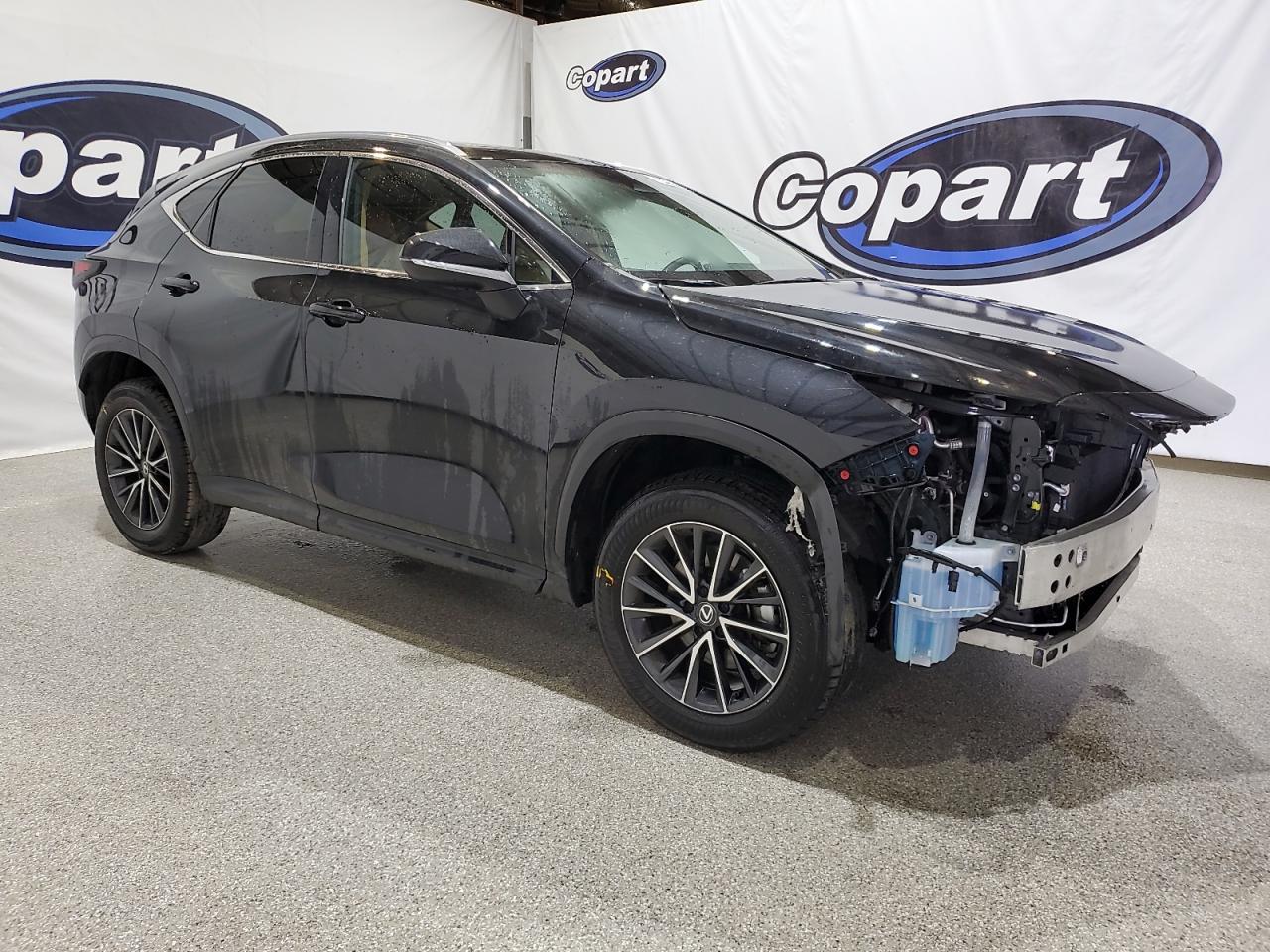 Lexus NX Base