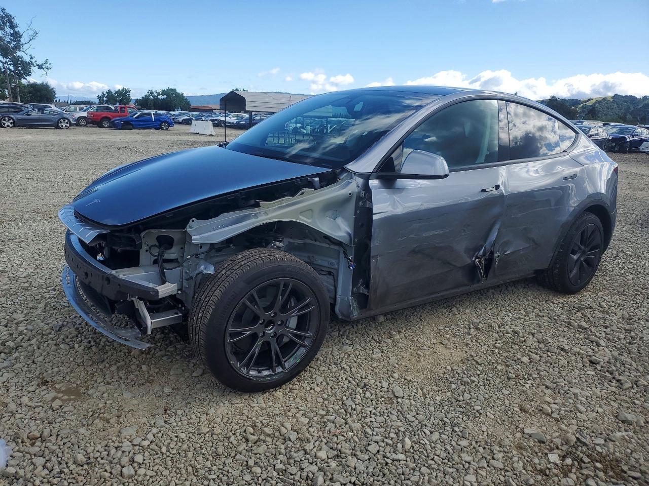 Salvage Tesla Model Y Image
