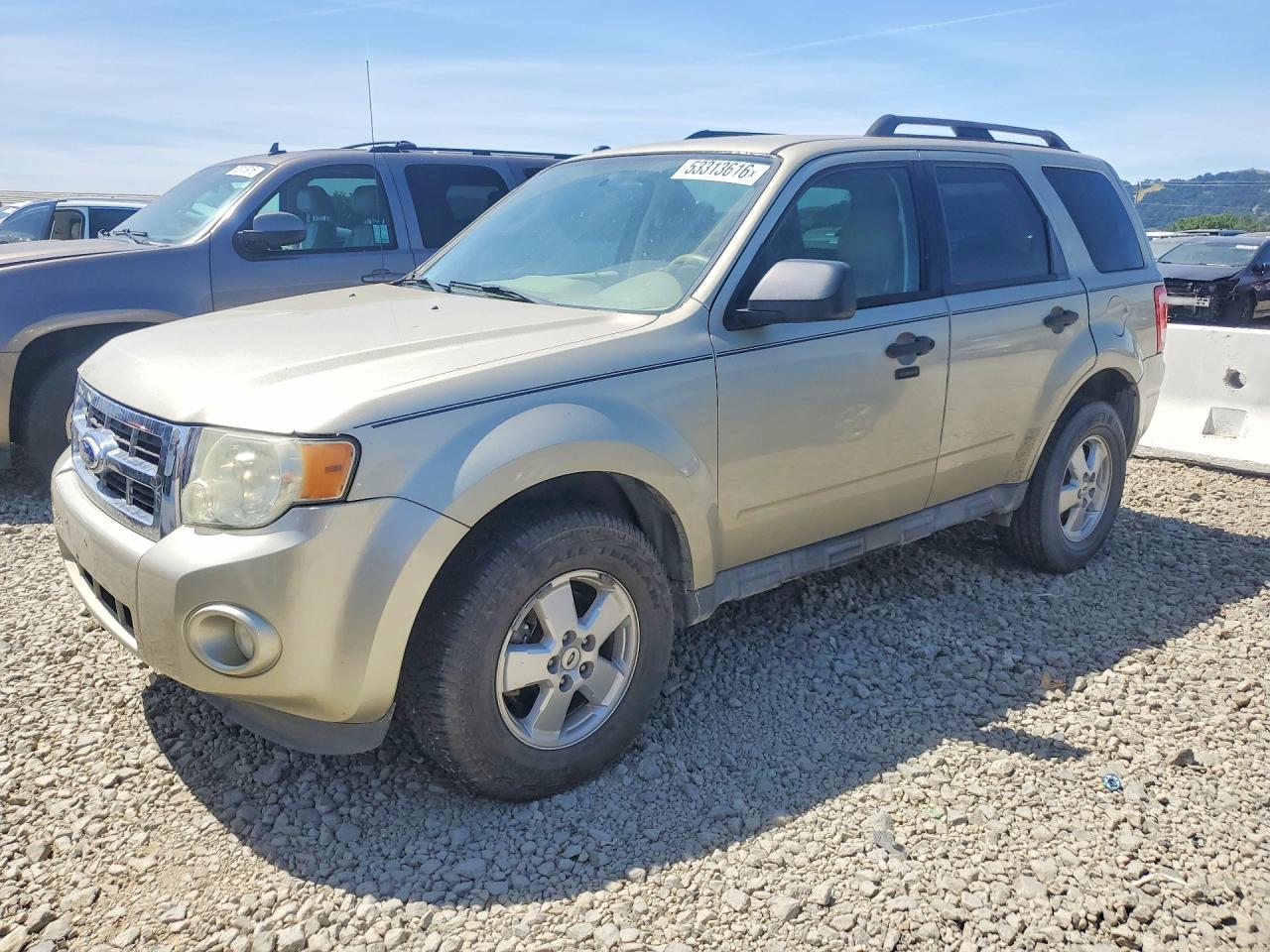Salvage Ford Escape Image