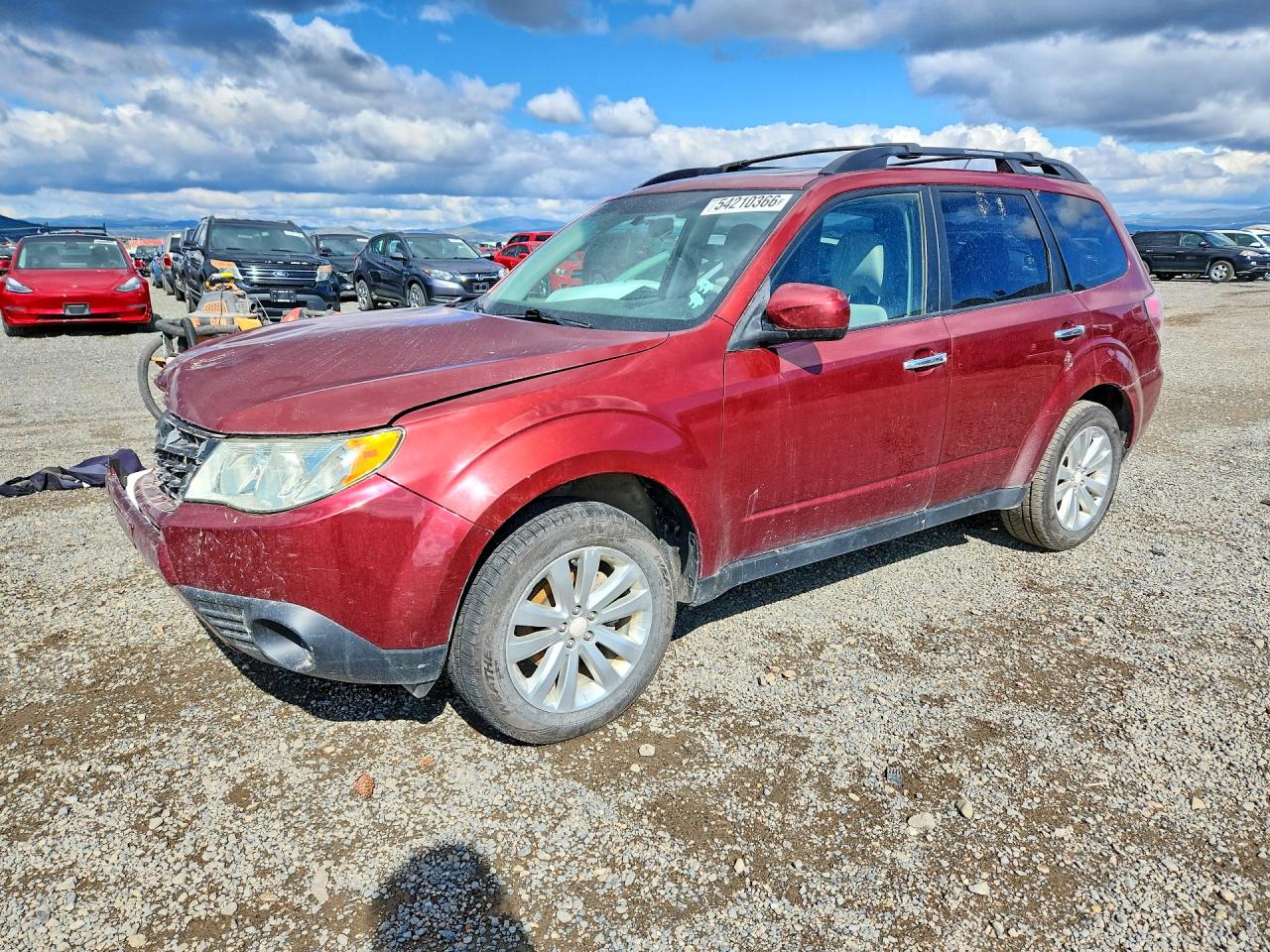 Salvage Subaru Forester Image