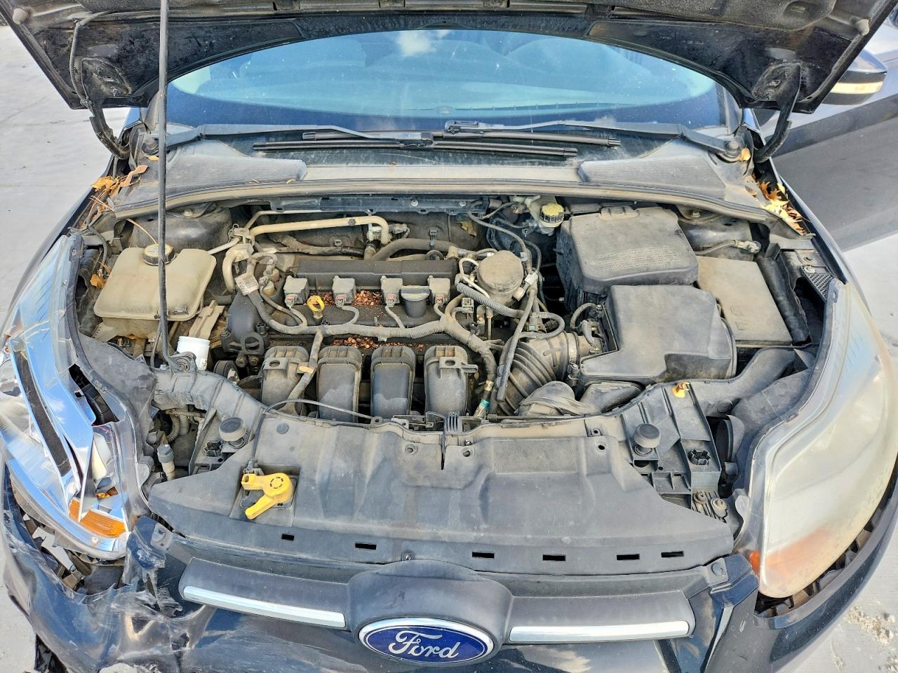 Ford Focus Se