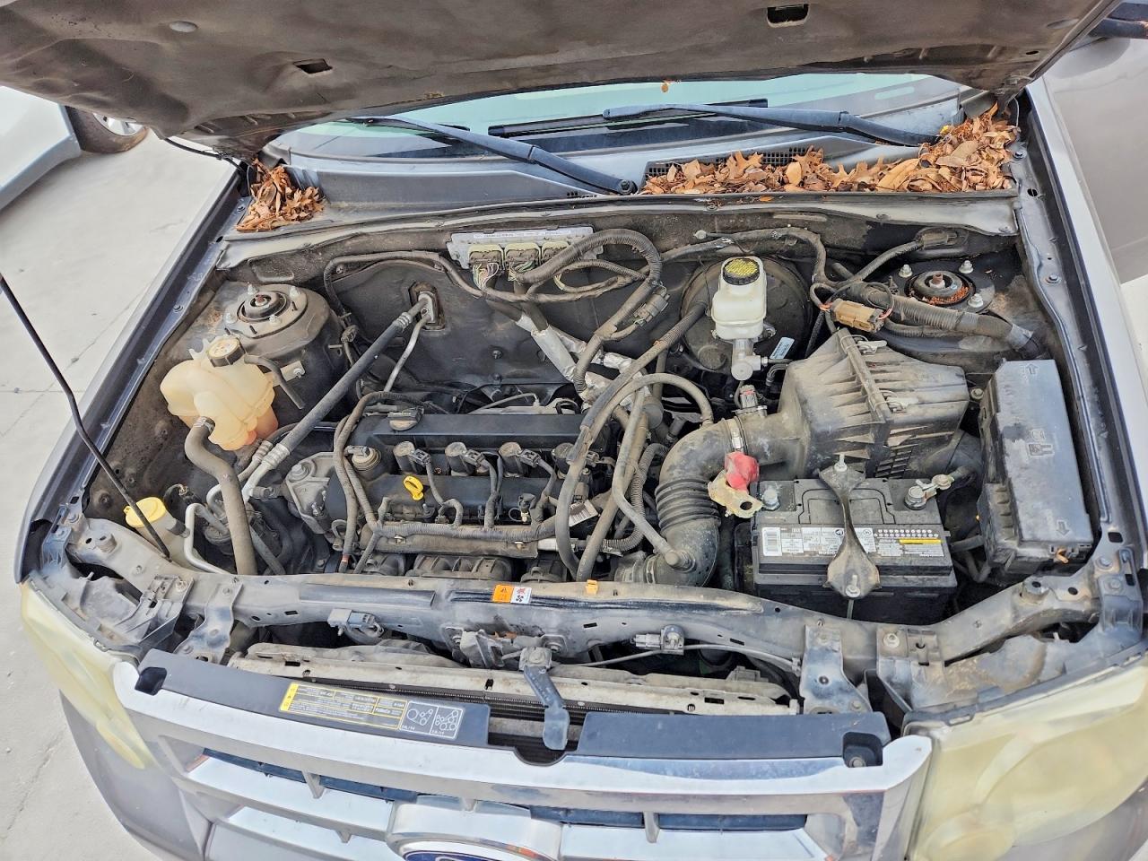 Ford Escape Xlt