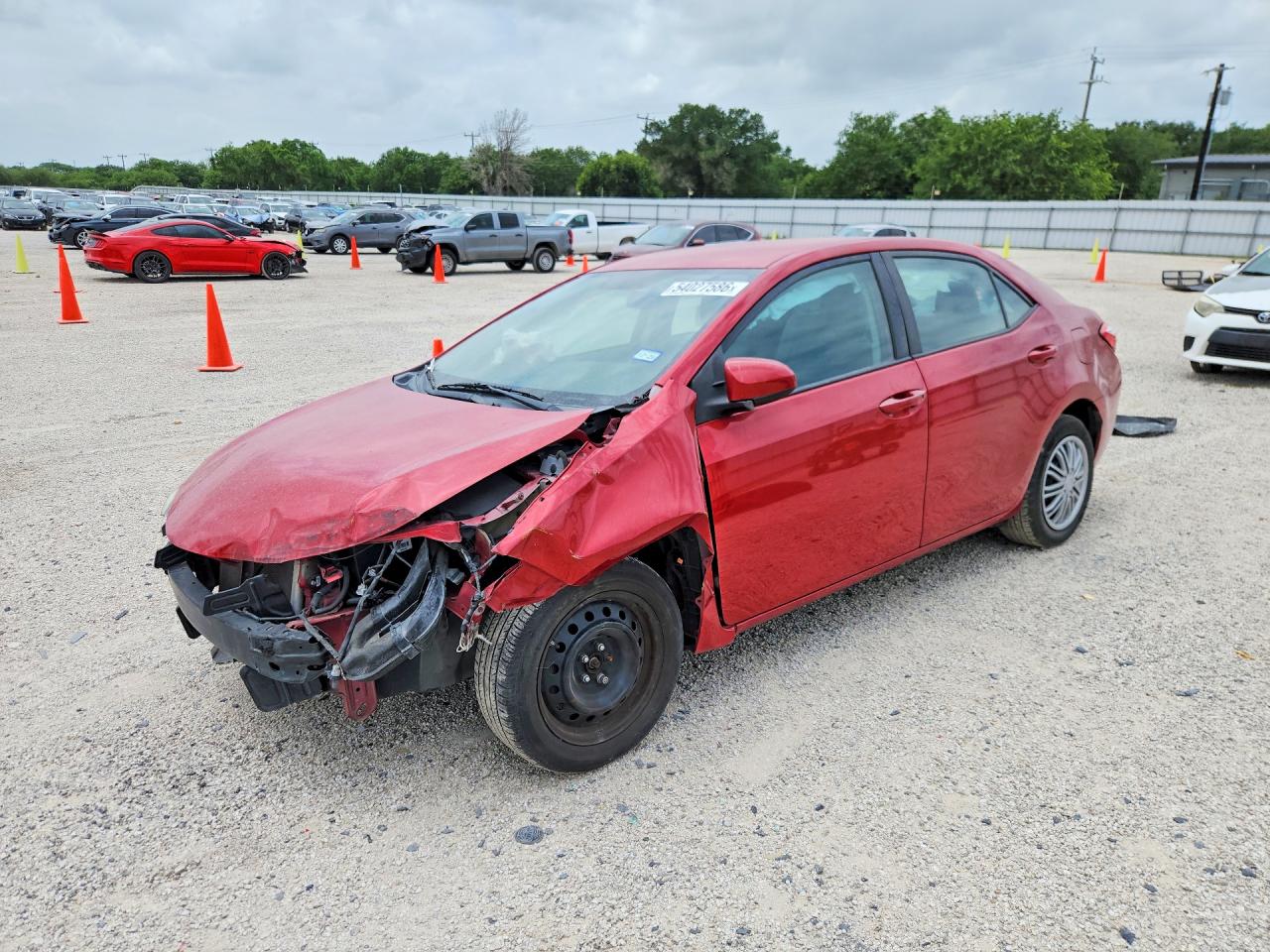 Salvage Toyota Corolla Image