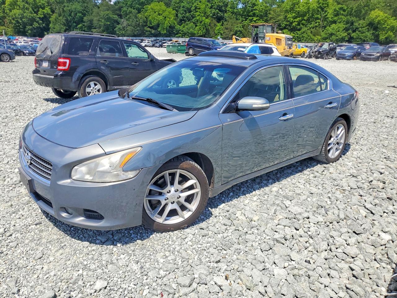 Salvage Nissan Maxima Image