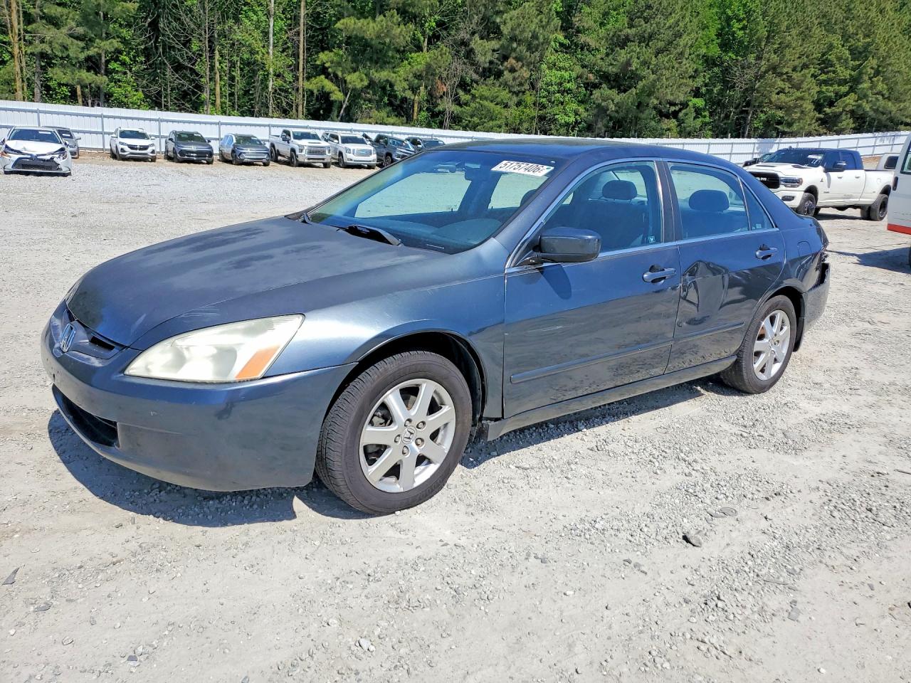 Salvage Honda Accord Image