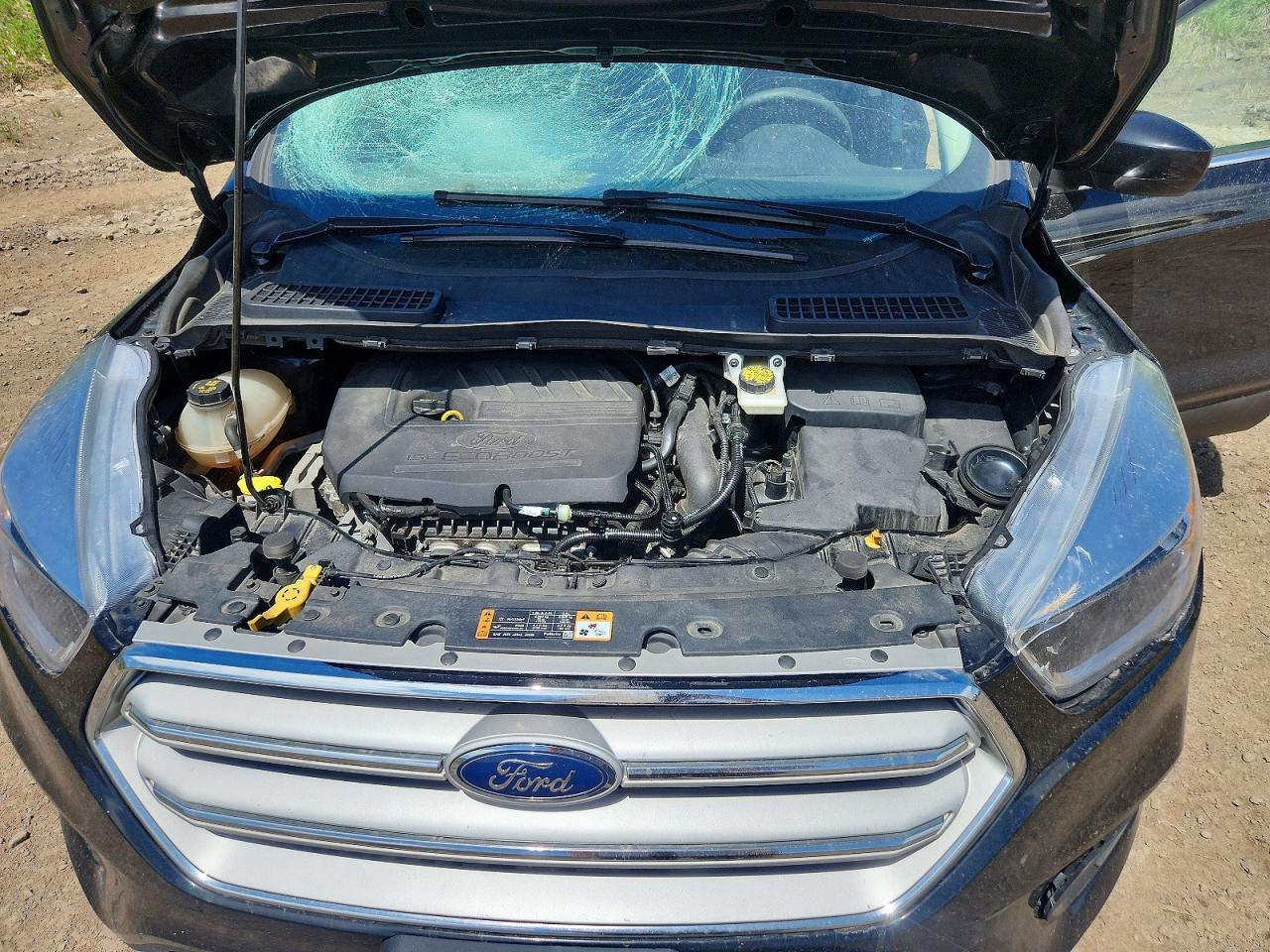 Ford Escape Se