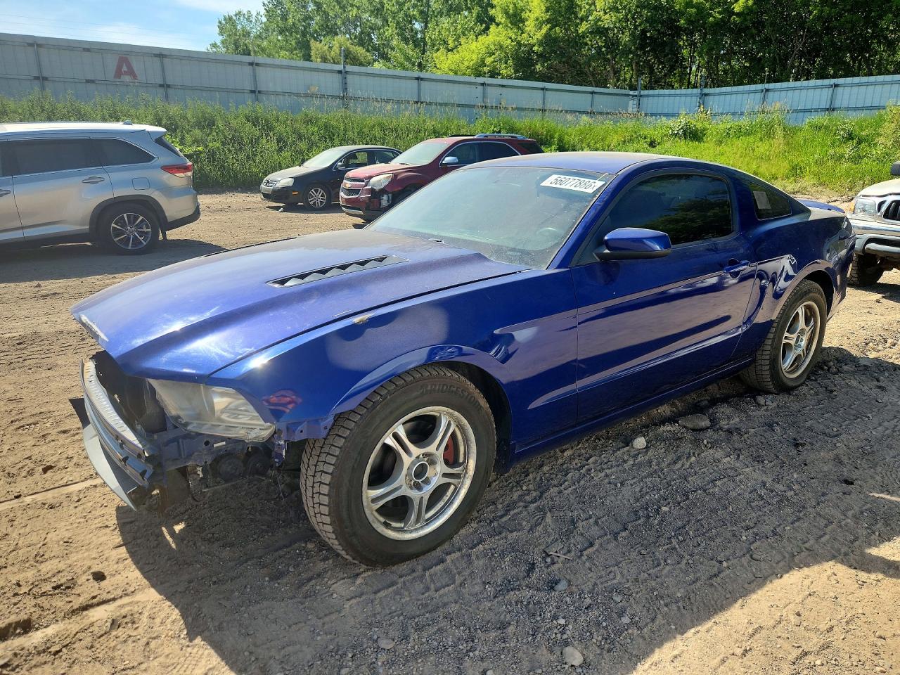 Salvage Ford Mustang Image