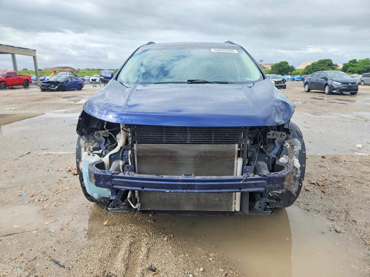 Ford Edge Sel