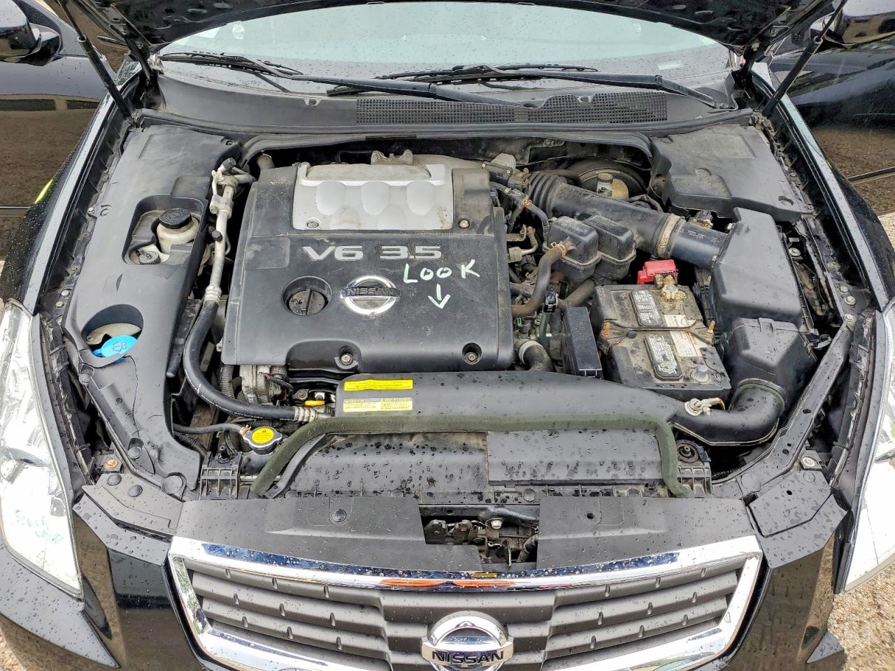 Nissan Maxima 3.5 Se