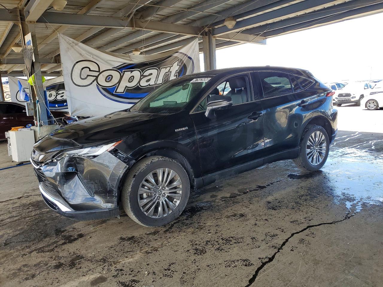 Salvage Toyota Venza Image