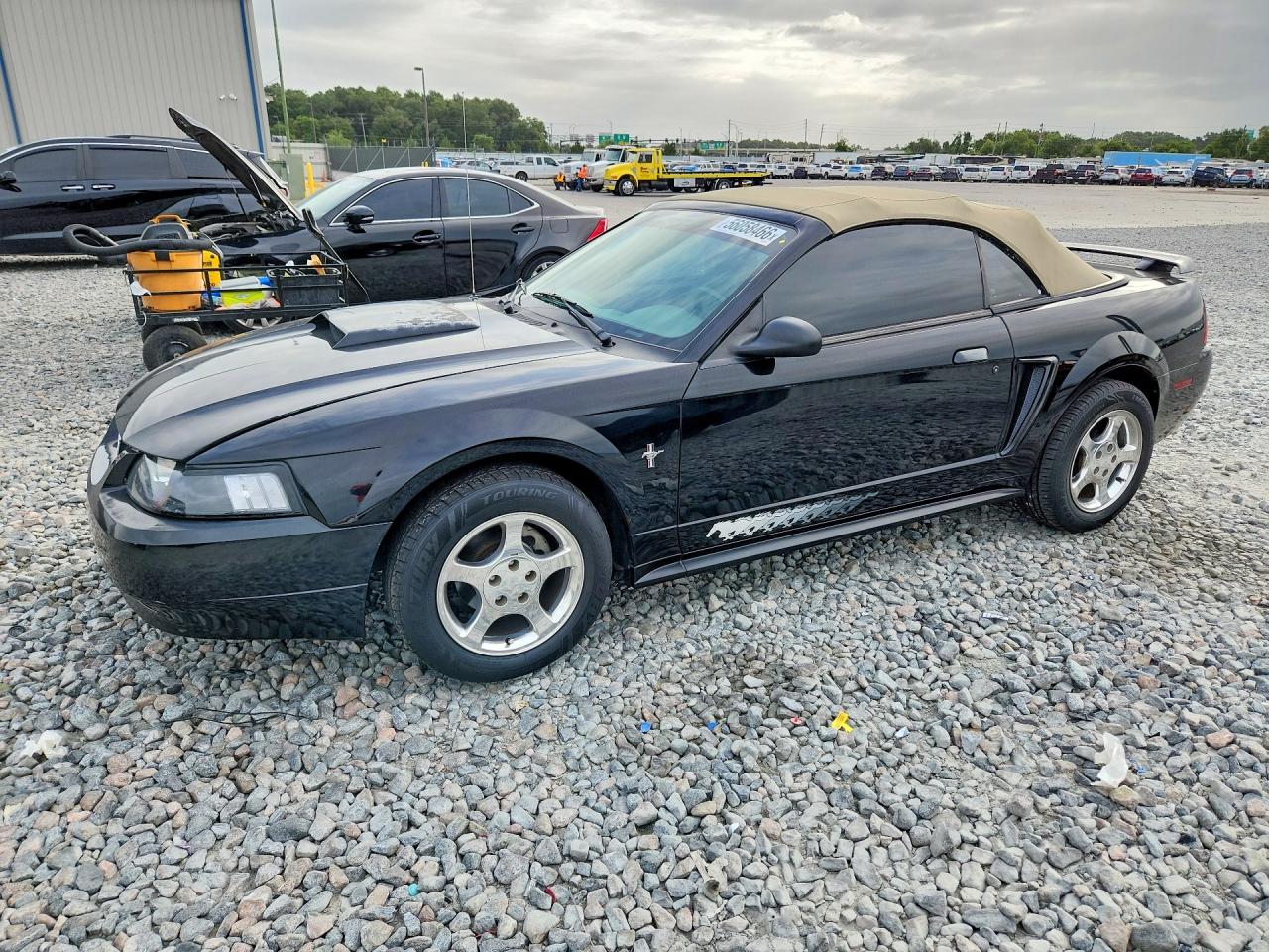 Salvage Ford Mustang Image